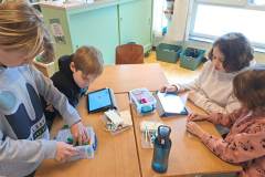 pi-c-digitale-wolven-001