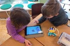 pi-c-digitale-wolven-006